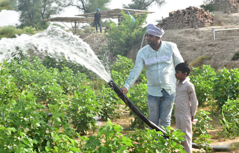 Solar Water Pumps for Agriculture