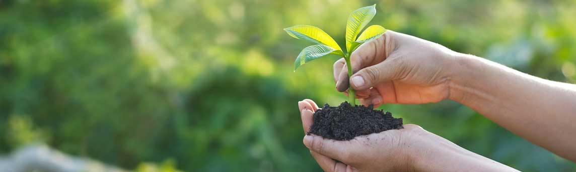 Akshay, CSR activity by Tata Power Solar to promote a greener environment